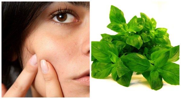 Albahaca para el acné