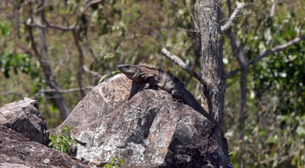 Trinidad, un pueblo con encanto y cultura de Santa Bárbara