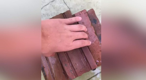 Video viral: Hombre levanta un ladrillo y se lleva tremendo susto al descubrir horribles criaturas