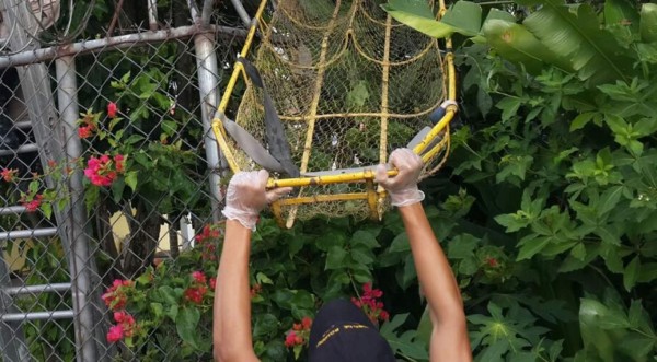 Joven muere electrocutado en Olanchito, Yoro