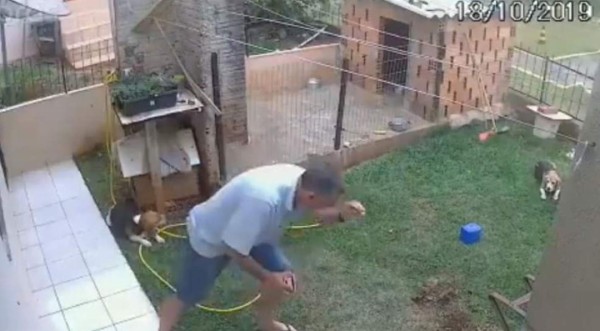 Video viral: Hombre trata de exterminar plaga y hace explotar su jardín por error