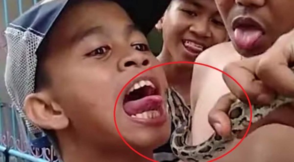 Video viral: Niño le saca la lengua a serpiente y ésta le da 'beso de la muerte'