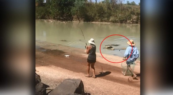 Video Viral: Enorme cocodrilo sorprende a pescadores y les roba su presa