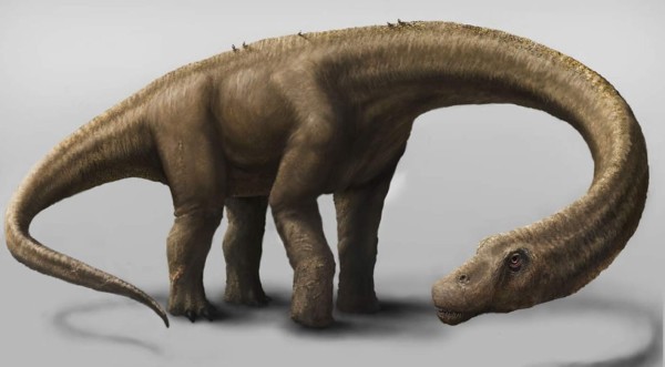 Hallan restos de dinosaurio gigante