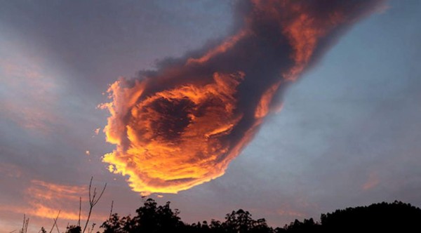 Asombro mundial por una 'mano de fuego' en Portugal