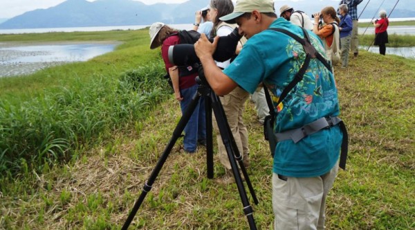 Honduras da forma al aviturismo como nuevo producto