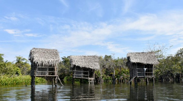 ACOMPAÑA CRÓNICA: MÉXICO NATURALEZA - MEX010. NAYARIT (MÉXICO), 06/04/2018.- Vista general de los manglares en el estado de Nayarit (México), el 16 de febrero de 2018. Los arbustos leñosos y entrelazados que forman una cueva natural son la puerta de entrada del manglar La Tovara, en el occidente de México y uno de los ecosistemas del Pacífico mexicano con las mayores poblaciones de fauna silvestre.&nbsp;La maraña impenetrable para los propios rayos del sol, con largas ramas extendidas que descienden hasta tocar el suelo, resguardan en su interior más de 700 especies de plantas y fauna, por lo que obtuvo en 2008 el distintivo Ramsar como humedal de importancia internacional. EFE/Eli Vega