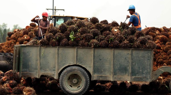 Maquila y agricultura son la base económica en 2016