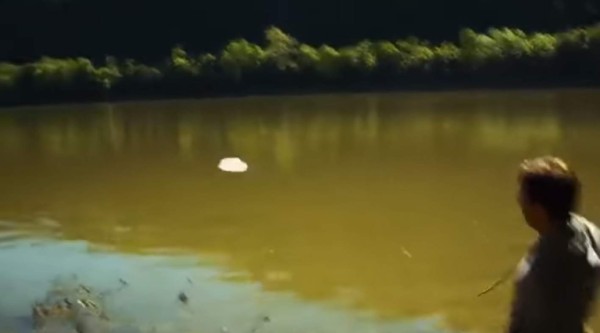 Video: Esto pasa si arrojas sodio metálico al agua