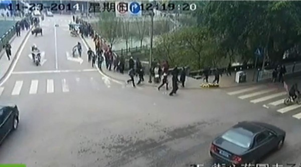 El animal enfurecido dañó vehículos e hirió al menos 10 personas. Foto YouTube.