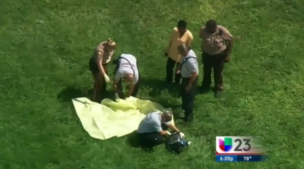 Perro pitbull mata a un niño de cuatro años en Miami-Dade