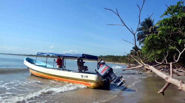 Alarma en Tela por caza de especies protegidas en el Caribe hondureño