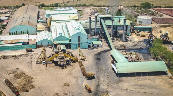 Honduras: 200,000 empleos tendrá producción azucarera