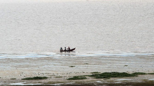Pescadores ilegales, un grave problema en el Lago de Yojoa