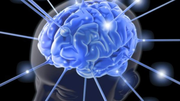 El cerebro humano tiene una red de conexiones casi ideal, según una investigación