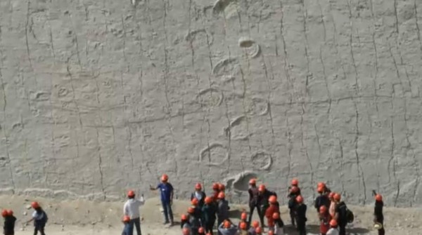 ¿Un verdadero 'Jurassic Park” en Bolivia?