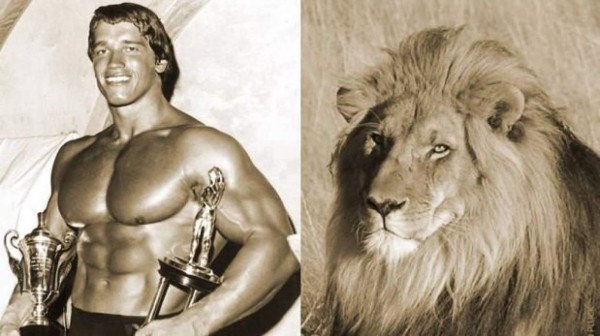 Arnold Schwarzenegger critica caza del león Cecil