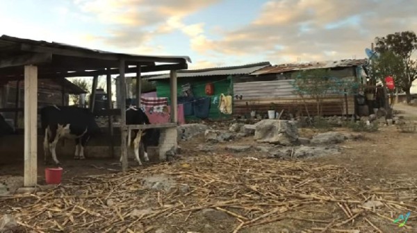 Divulgan imágenes de la casa en la que creció Yalitza Aparicio