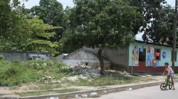 En tres colonias sampedranas concentrarán operativos del dengue