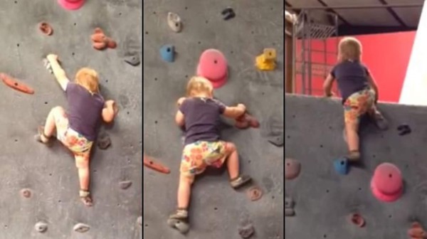 Se viraliza bebé escalando un muro sin cuerda de seguridad