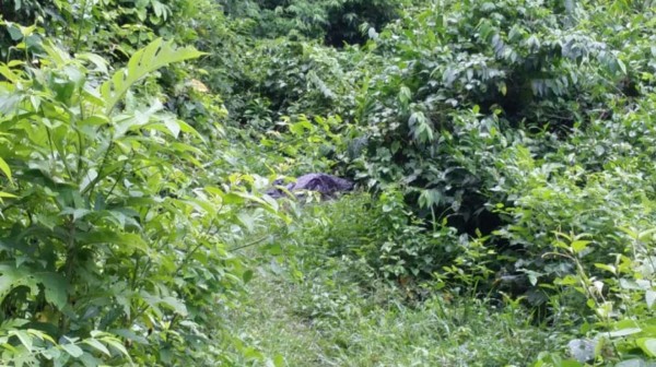 Encuentran putrefacto el cadáver de un joven en Choloma