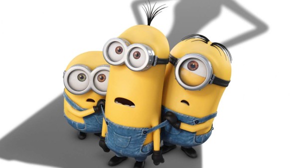 Llegó la fiebre amarilla