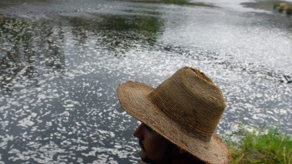 View of the polluted waters of the Lempa river in Pinuelas village, 430 kilometres west of Tegucigalpa on February 4, 2017.Environmental institutions and municipalities from Guatemala, Honduras and El Salvador join efforts to reduce the pollution of the Lempa river, scourged by deforestation, pollution and global warming. / AFP PHOTO / Marvin RECINOS / TO GO WITH AFP STORY BY CARLOS MARIO MARQUEZ