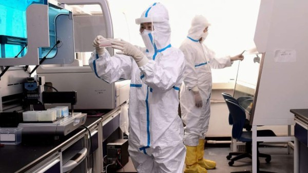 Costa Rica inicia aplicación anticuerpos equinos a pacientes de covid-19