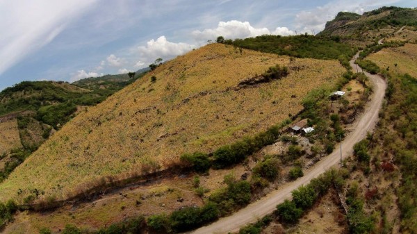 Hondureños sin alimentos ni agua por el embate de El Niño