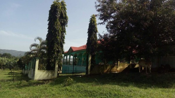 Operación Emperador deja más de 100 aseguramientos