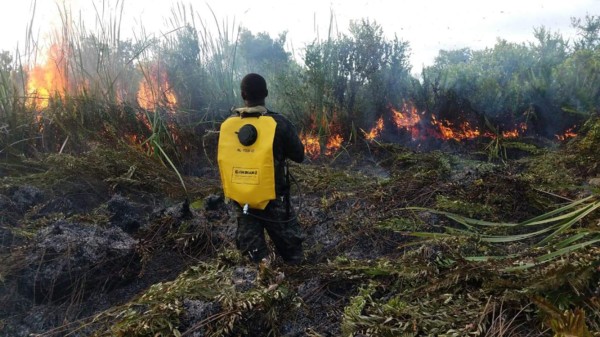 Foto: La Prensa