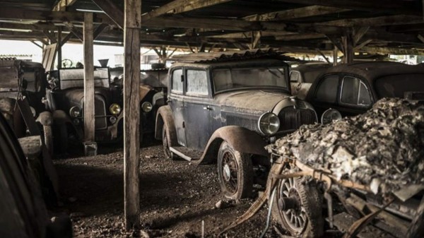 Originalmente eran más de 100, pero inesperados problemas económicos lo llevaron a vender gran parte de ellos y a dejar los 60 que le quedaron abandonados en una finca que tenía en el oeste de Francia. Foto cortesía Infobae.com