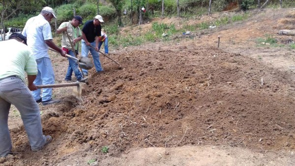 Impulsan marca 'Yo soy Merendón” para apoyar a productores de la zona