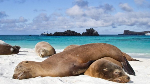 Ecuador promueve el turismo de naturaleza