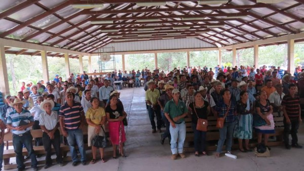 INA fomenta producción de granos en Santa Bárbara