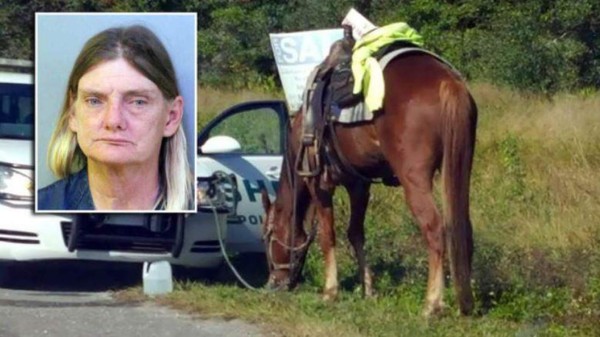 Mujer es arrestada en EUA por conducir ebria... un caballo