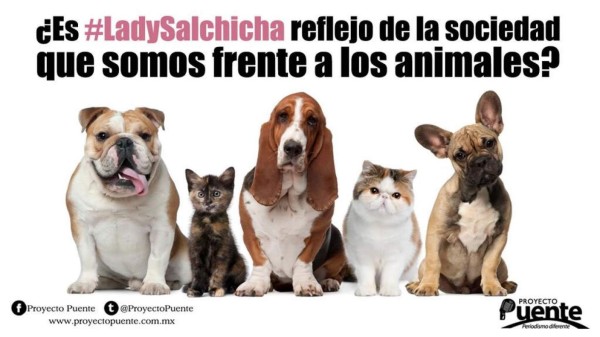 Mujer que aconsejó cómo matar perros y gatos enfurece las redes