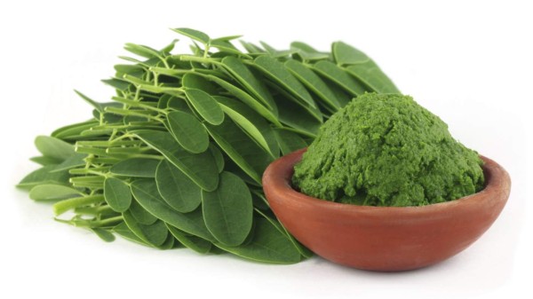 La moringa, soya y trigo, aliados para una buena salud