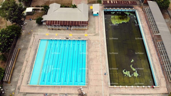 En el abandono se encuentra piscina del Complejo Olímpico de San Pedro Sula
