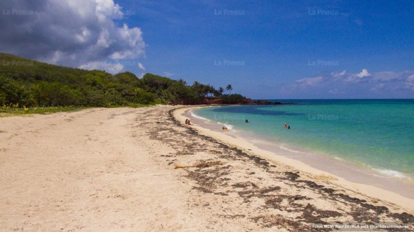 Ónice Flores muestra la joya escondida de Islas de la Bahía