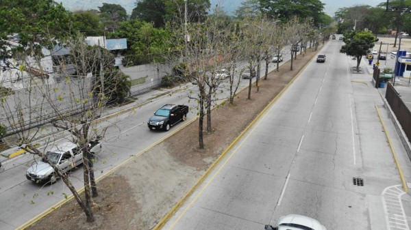 Urge giro a la izquierda en bulevar de San Pedro Sula