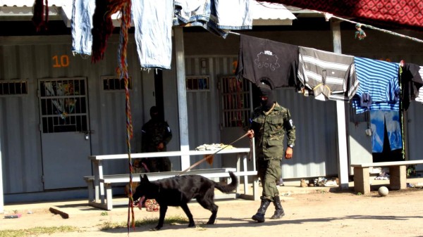 Conadeh urge buscar expertos para solucionar crisis