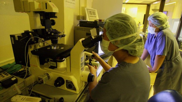 Organizaciones fecundación in vitro en Costa Rica