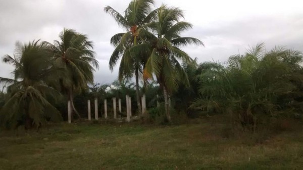 Continúan los aseguramientos a las propiedades de 'Los Cachiros'