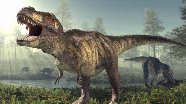 ¿Sabías que el Tiranosaurus Rex no podía sacar la lengua?  