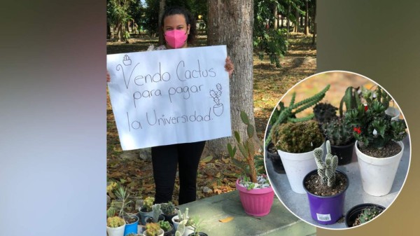 'Vendo cactus para pagar la universidad'; sampedrana se viraliza en redes sociales por emprendimiento
