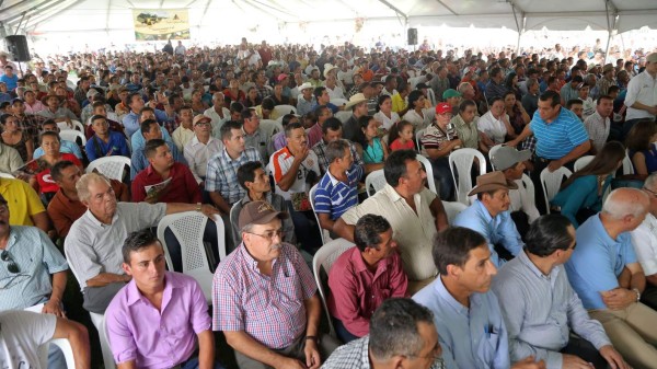 Más de 100,000 empleos nuevos dará la caficultura en la cosecha 2015-2016