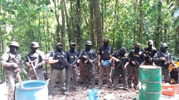 Descubren 400 manzanas sembradas con coca en Olancho