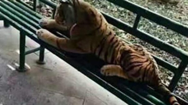 Un tigre de peluche causa pánico en un parque del este chino  