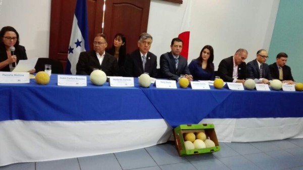 Prevén considerable aumento a exportación de melón